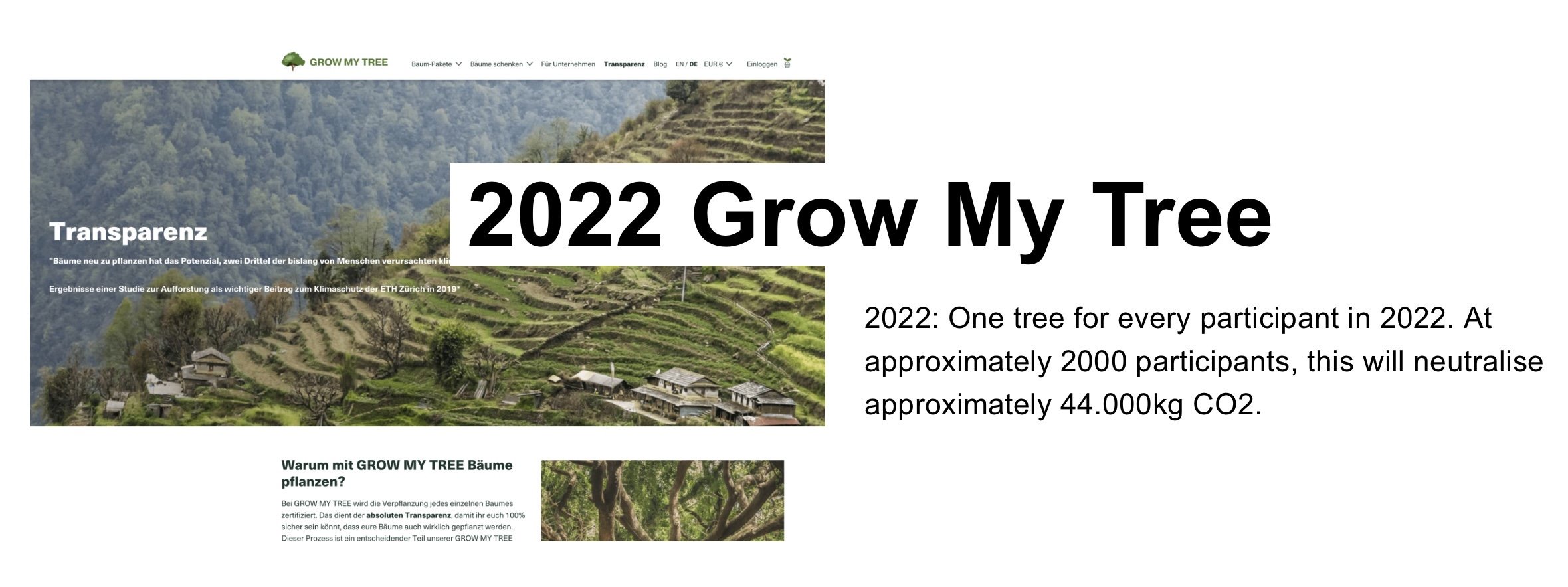 2022 Grow My Tree